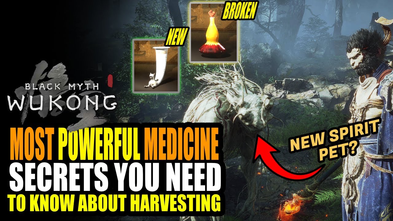 Black Myth Wukong - The MOST Powerful Medicine & Secrets You Need to Know About Harvesting Guide