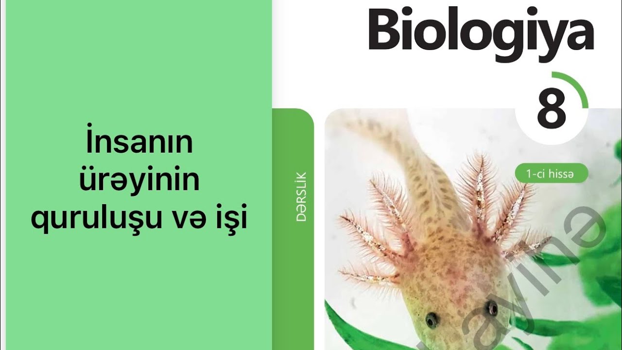 Biologiya 8 ci sinif yeni dərslik. İnsan ürəyinin quruluşu və işi 
