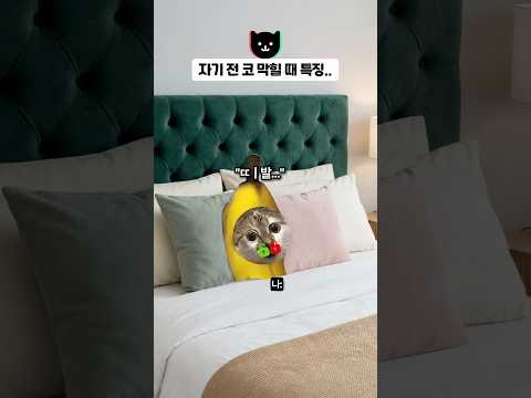 자기 전 코 막힐 때 특징 👃 thumbnail