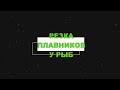 РЕЗКА ПЛАВНИКОВ У РЫБ, АКВАРИУМИСТЫ РОССИИ