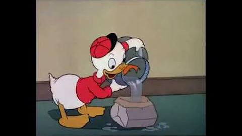 Don Towsley Animation