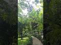 Beautiful ♥😇 Relaxing🌲 Nature 🌿🍃 #nature#travel#shorts #ytshorts#vlogs#Smile With Us
