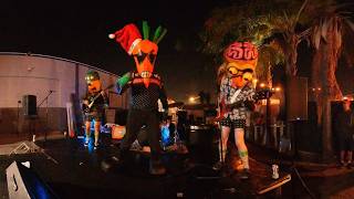 “Tales From the Coop" Live at The Doll Hut Punxmas Show, Anaheim 360 / VR