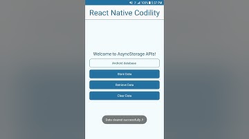 AsyncStorage - React Native