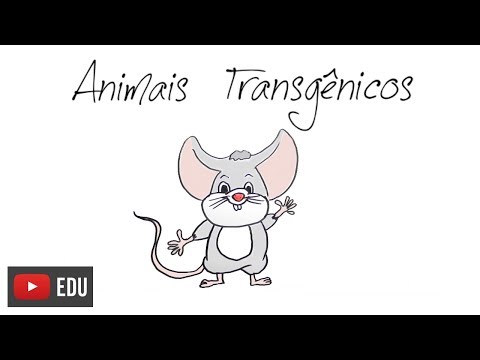 Vídeo: Como você faz um animal transgênico?