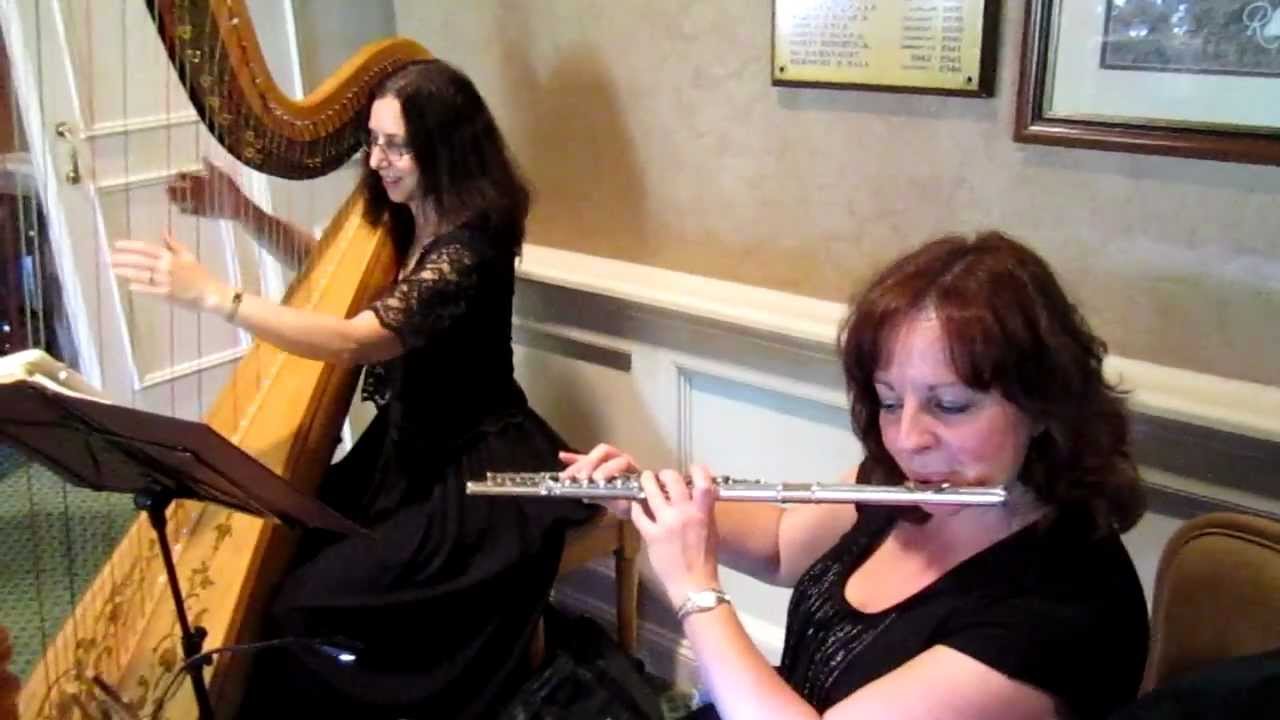 Music for Wedding Ceremony/Cocktail Hour MusicNY/NJ/CT, Harp/Flute