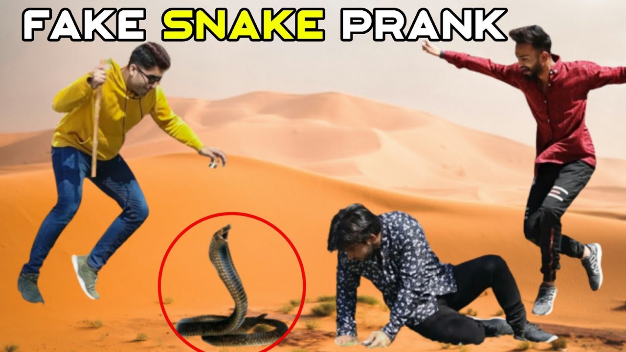 Fake Snake Prank Snake Prank Fake Snake Prank Funny Reaction YouTube