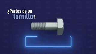 Partes de un tornillo.