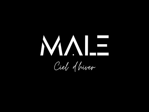 Ciel d'hiver [CLIP VIDEO OFFICIEL] - MALE