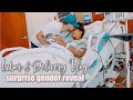 Labor & Delivery of Bellamii Munro! + Surprise Gender Reveal!