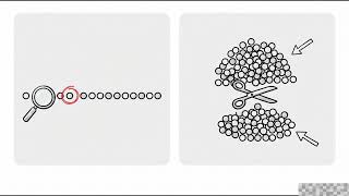 Foundations of Algorithmic Thinking | Beginner’s Guide to Efficiency