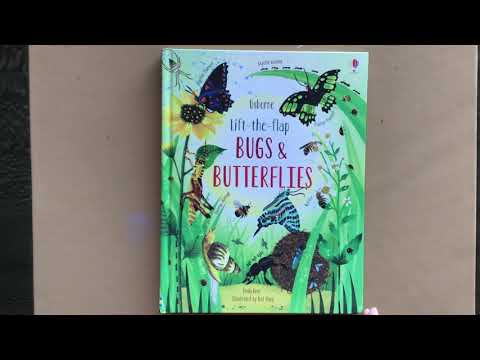 Lift-the-Flap Bugs & Butterflies 🦋🐜 Usborne Books & More