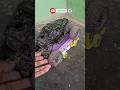 Remote Control Monster and Truck Unboxing Test Video #truck #jcb #jcbvideo #truckvideo #car