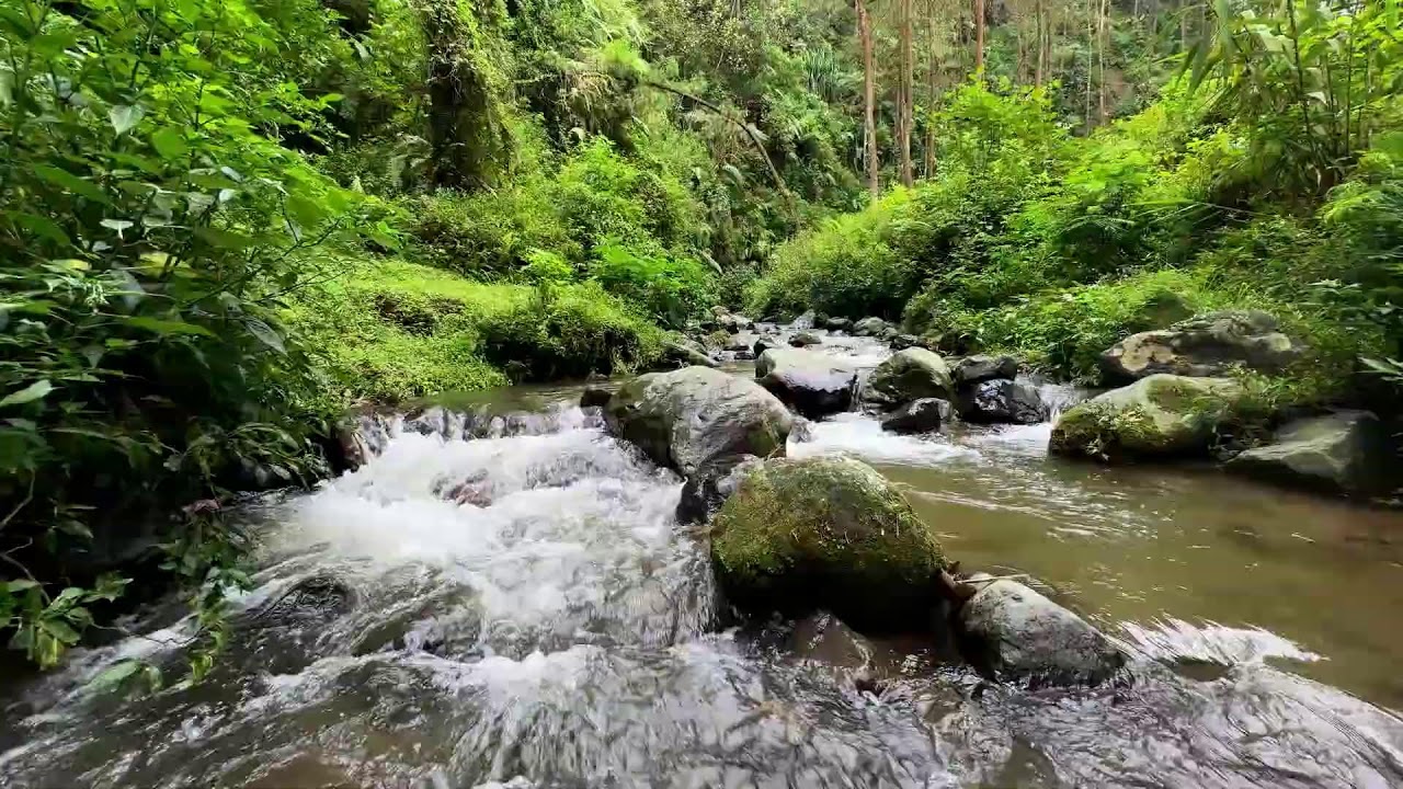 Soft river sound under stars beside forest water guiding the mind into long deep sleep recovery