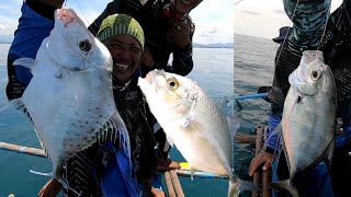 vlog150 - Trevally fish/ catch and cook  Part 1