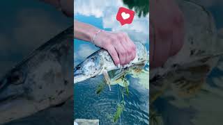 Щуку голыми руками | Катя на рыбалке | Рыбалка по русски | Девушка ловит щуку голыми руками |Рыбалка