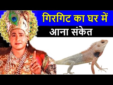 वीडियो: क्या मुझे अपने ढके हुए गिरगिट को नहलाना चाहिए?