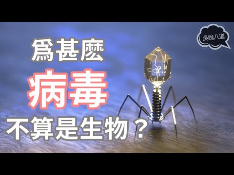 爲什麽病毒不算是生物？