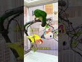 OMG! 😳 My Parrot Got Scared of THIS Funny Parrot Reaction#Shorts #parrot #birds