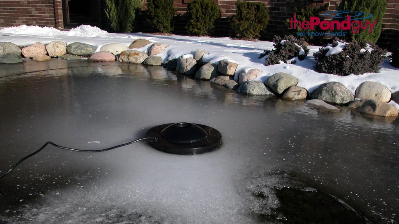 Water Garden DeIcer Protects Fish All Winter How to Choose a Pond