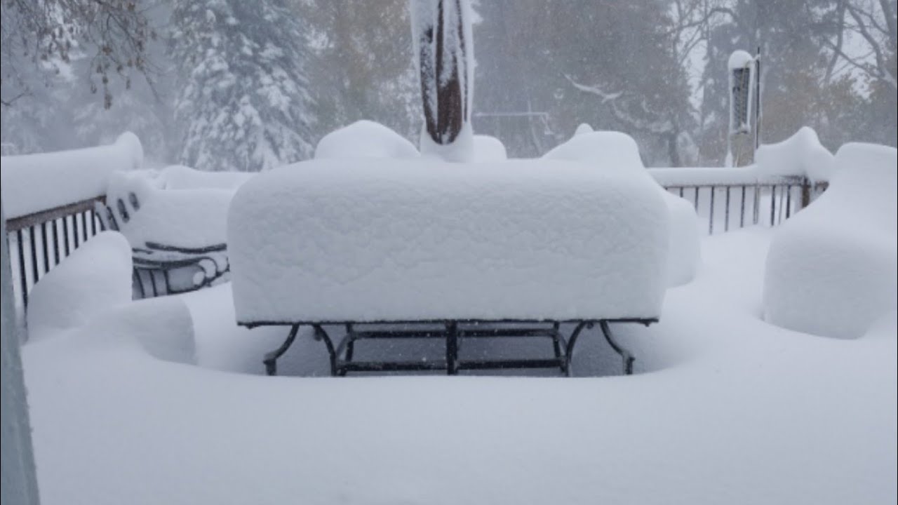 Georgia one day trip/my first vlog(malayalam)plants with vlogs #plantswithvlogs