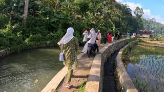 Viral‼️ Jajap Pengantin Susuri Sungai \u0026 Sawah Hijau, Beginilah Uniknya Pernikahan Kampung Di Garut!