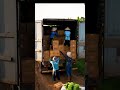 🍌 “Fresh   Banana   Harvest   Packed &amp;   Ready   for   Export!”