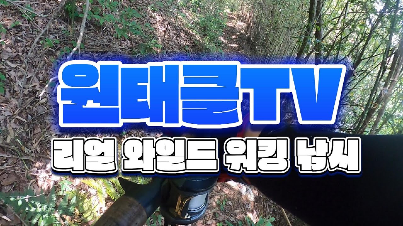 리얼 와일드 워킹 루어낚시 bass fishing