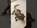 Horned Lizard Generate ai #shorts #transformers #toys #ai