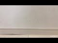 昨日の動画やコメントなどについての反省とご報告