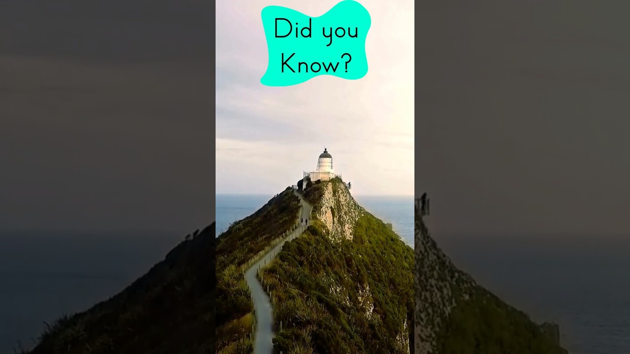 Fun and Interesting Facts about Otago, New Zealand 