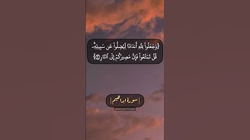 سورة ابراهيم الآية ٢٨ الى ٣٠ بصوت الشيخ محمد صديق المنشاوي