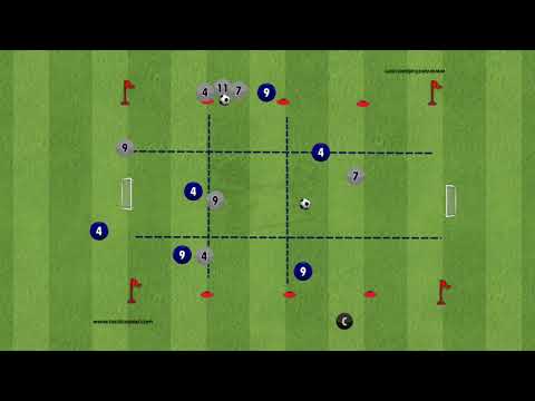 1v1 Domination