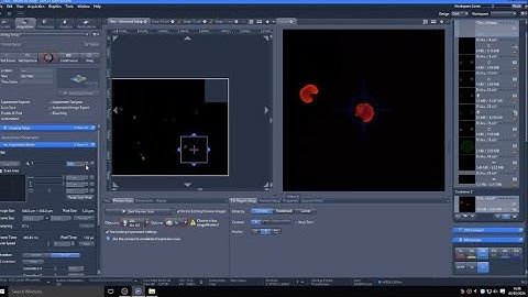 Zeiss LSM800 Airyscan confocal tutorial
