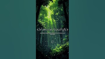 سورة الحجر من تلاوة القارئ عبدالرحمن مسعد#عبدالرحمن مسعد #اكسبلور#مهم#اهمية#تأمل#راحه#ايفا