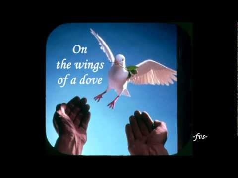 ON THE WINGS OF ADOVE