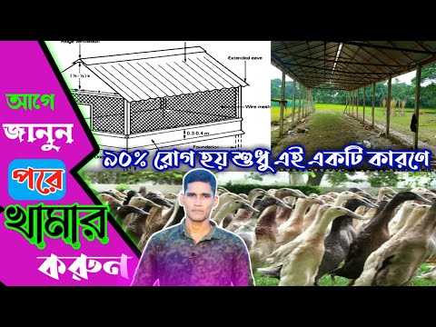 ভিডিও: টমেটো স্টোলাইপিন: ফটো, বিভিন্ন বৈশিষ্ট্য, পর্যালোচনা