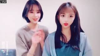 Khi Soái Ca Soái Tỷ Thả Thính Bọn Faaa Tik Tok Trung Quốc