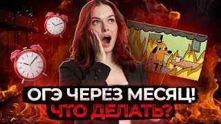 Меньше месяца до ОГЭ по литературе! Что делать, если весь год не готовился?