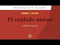 El cuidado mutuo – Meditación Diaria