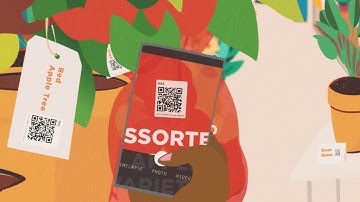 Next Generation 2D Barcodes Unwrapped