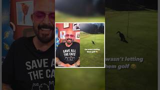 Get it, Cat ?️‍♂️⛳️? cats golf reaction