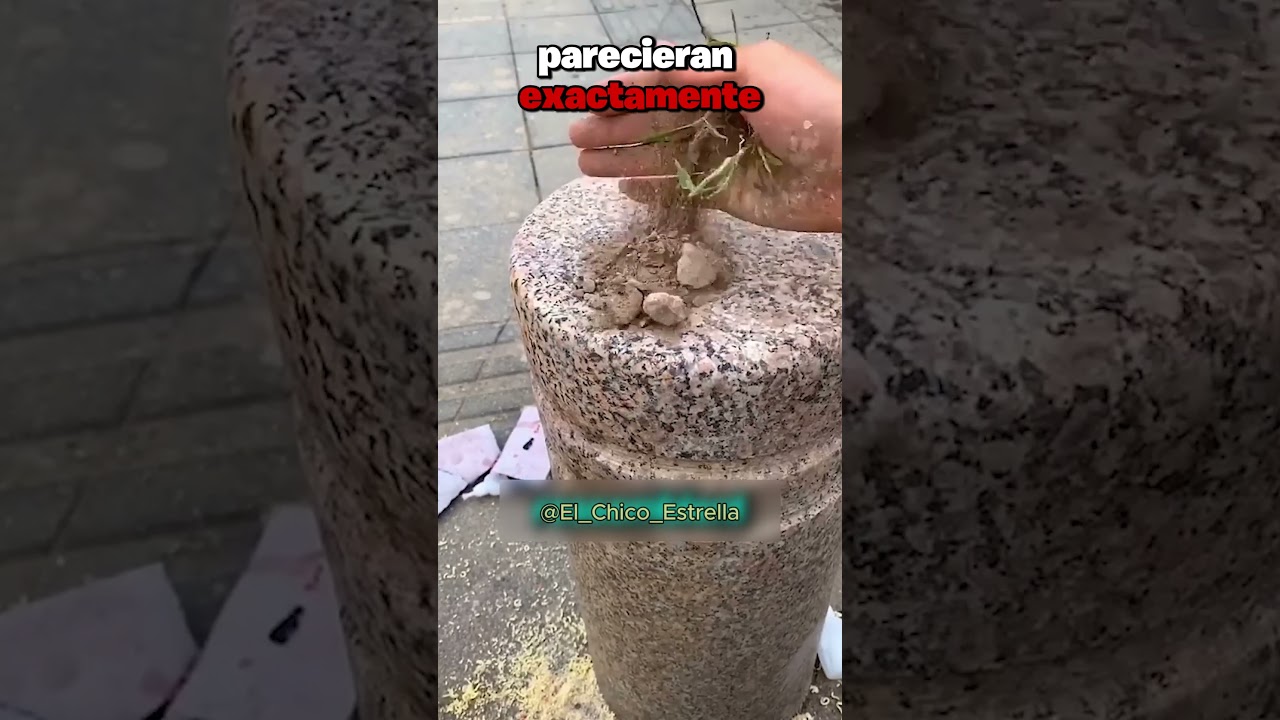 No creerás como este tipo ARREGLA el POSTE 🤯👈