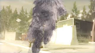 TEAMTAGE 80