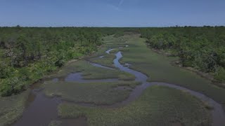 St. Johns County land swap dead, company withdraws application