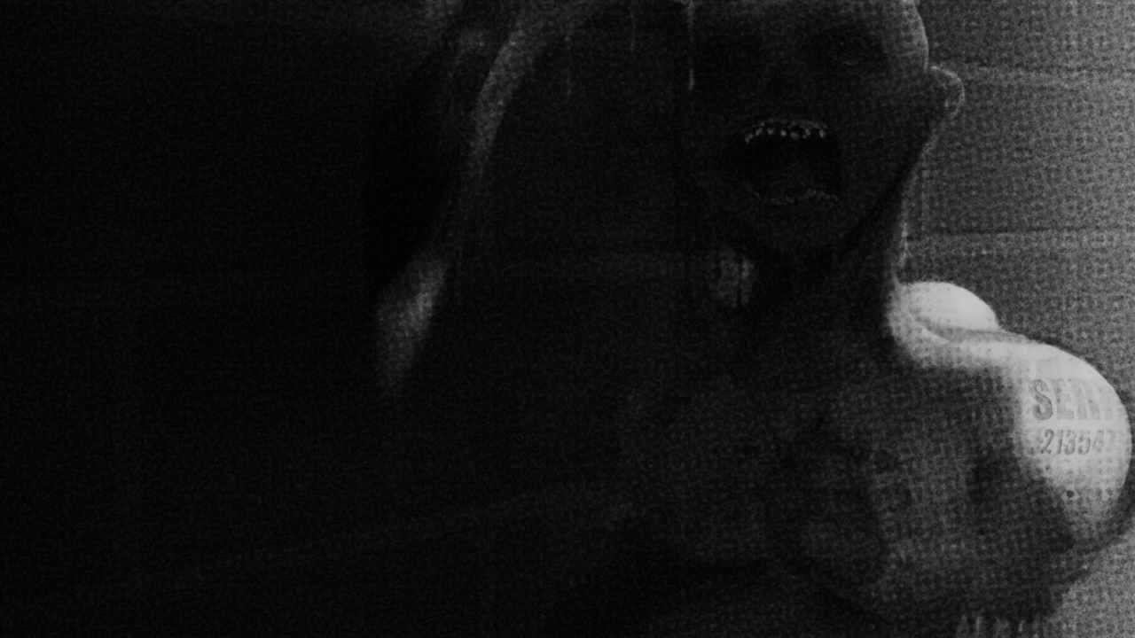 Phantasm - Farfalla of Fate - English Subbed