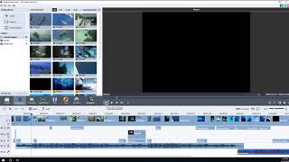 Problem with AVS Video editor - video not playing in editor - SOLUTION FOUND - READ DESCRIPTION. screenshot 4