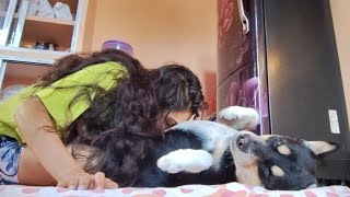 Sleepy Morning Fun With My Dog Shinchan His Adorable And Happy Moments