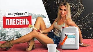 Плесень на стенах. Как убрать? | Школа ремонта