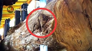 Gizemli Ahşap Nadiren Insanlar Bunun Gibi Ahşabın Kötü Büyüye Karşı Bir Panzehir Olduğunu Biliyorlar